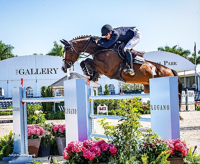 Team Rakowsky, Florida, USA - Showjumping Horses For Sale